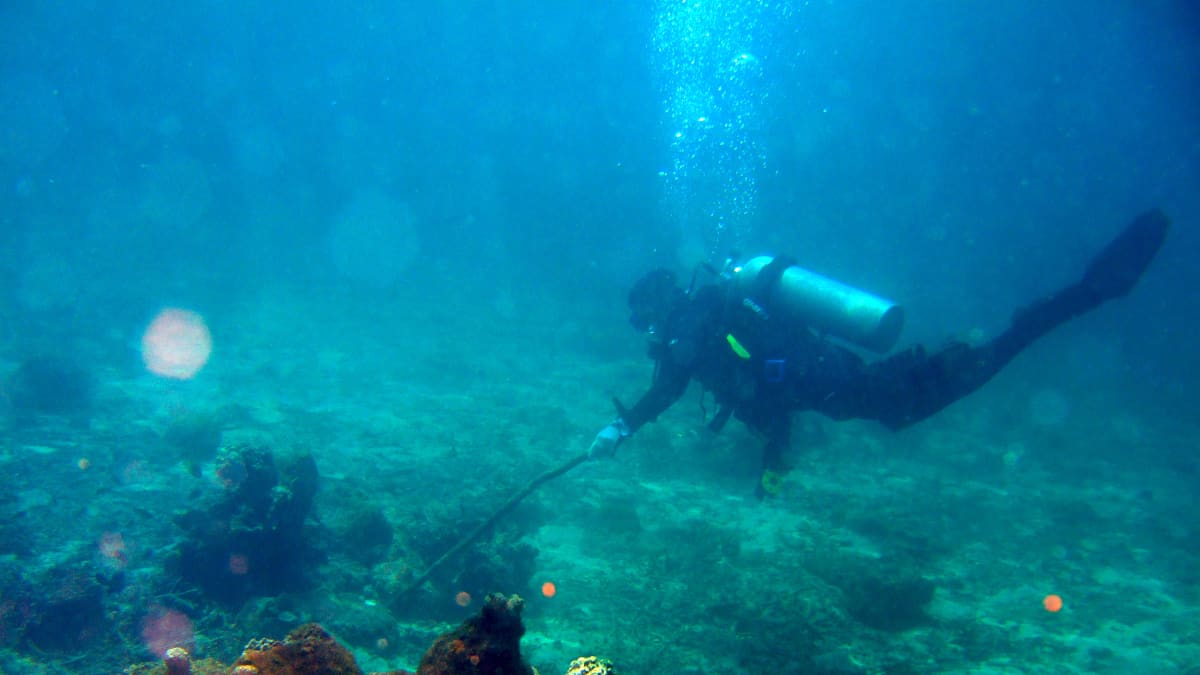 Opiskelija Filippiinien yliopistosta tutustuu koralliriuttojen suojeluun 2008.