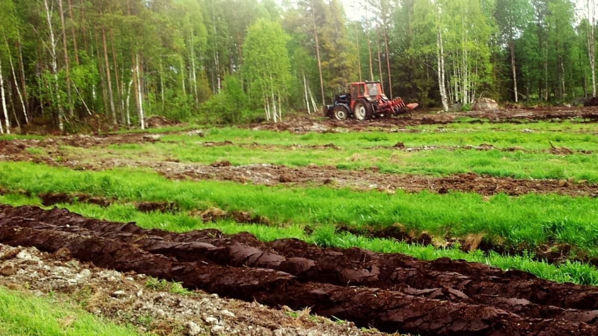 Tilakäynnit tuottaneet tulosta maatalouden ympäristönsuojelussa | Yle  Uutiset