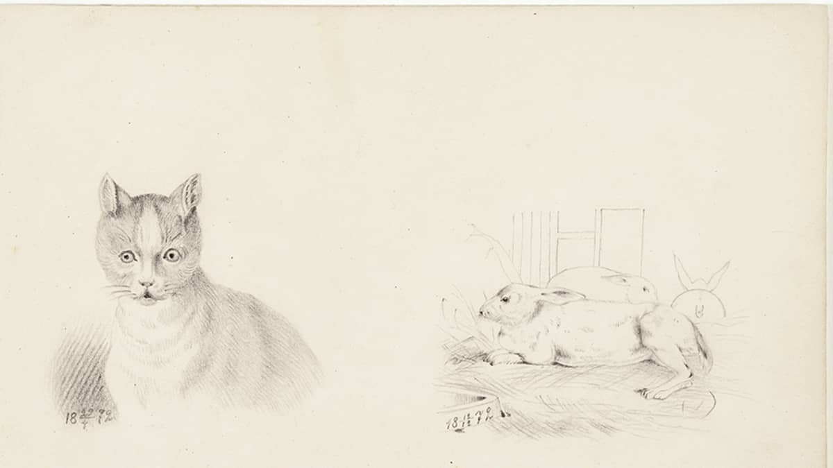 Helene Schjerfbeckin luonnos kissasta ja jäniksistä vuodelta 1872.