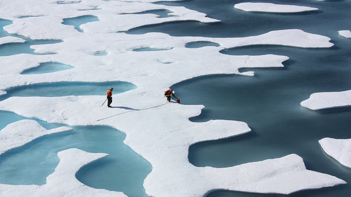 Tutkijat keräävät vesinäytteitä sulaneen jään muodostamista vesialtaista Pohjoisella jäämerellä.