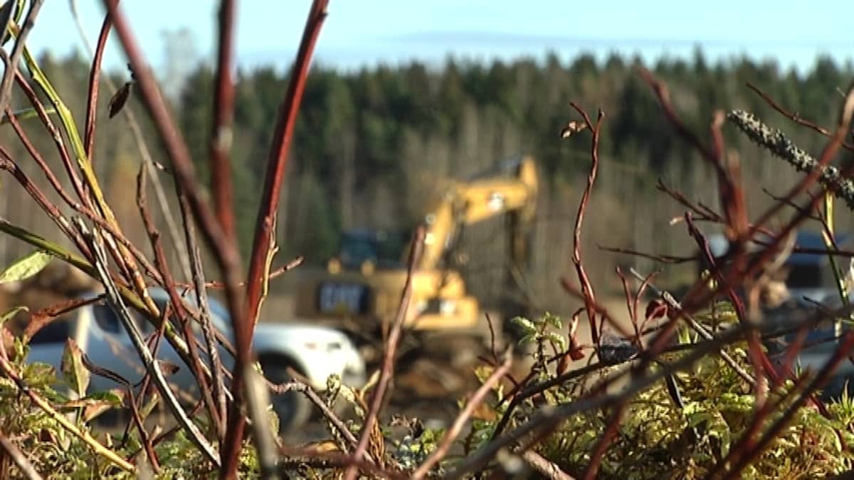 Kaivuri Porvoon Toukovuoren asuinalueella.