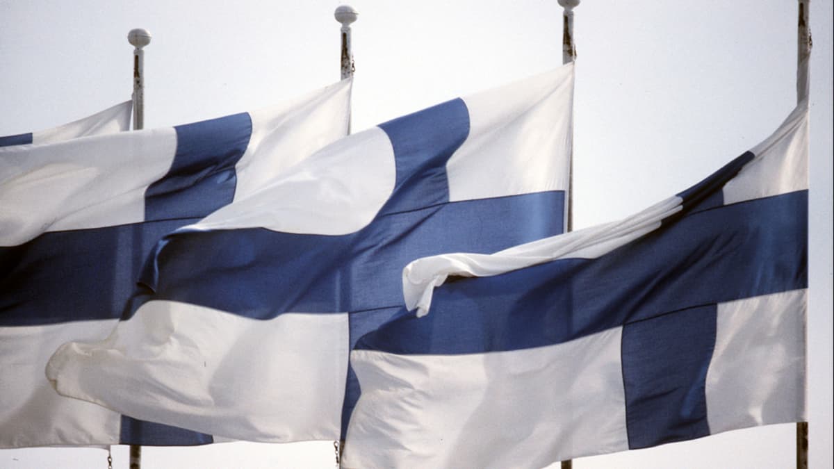 Suomen lippuja liehuu saloissa.