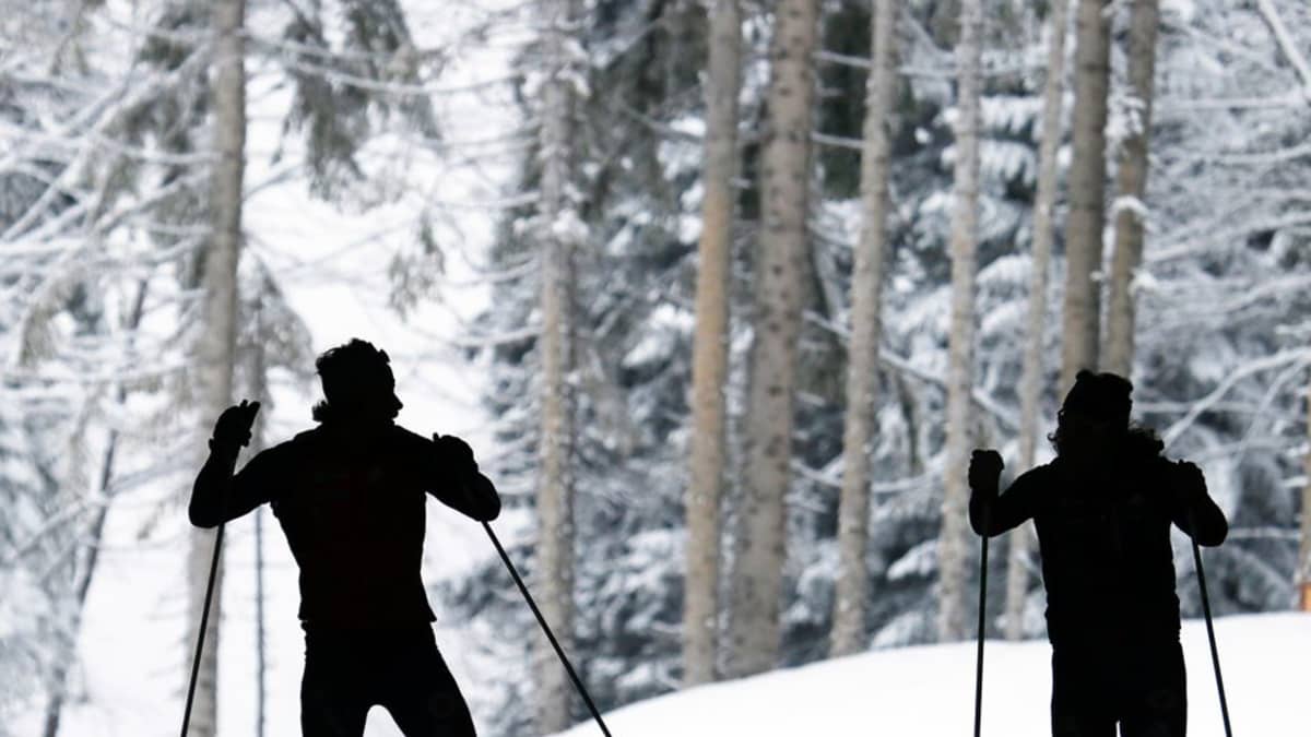 Suomen Hiihtoliitto haluaa julkistaa hiihtäjien veriarvot | Yle Urheilu