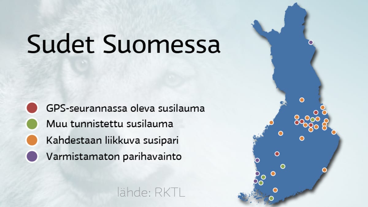 Susia on Suomessa entistä vähemmän | Yle Uutiset