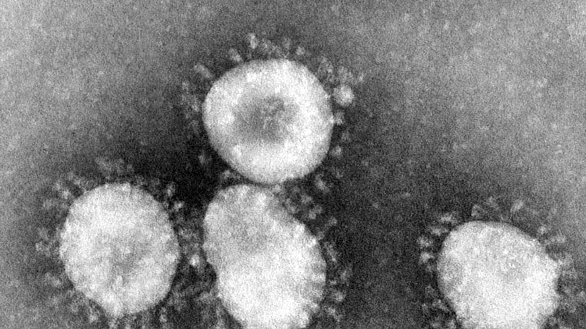 koronavirus mikroskoopissa