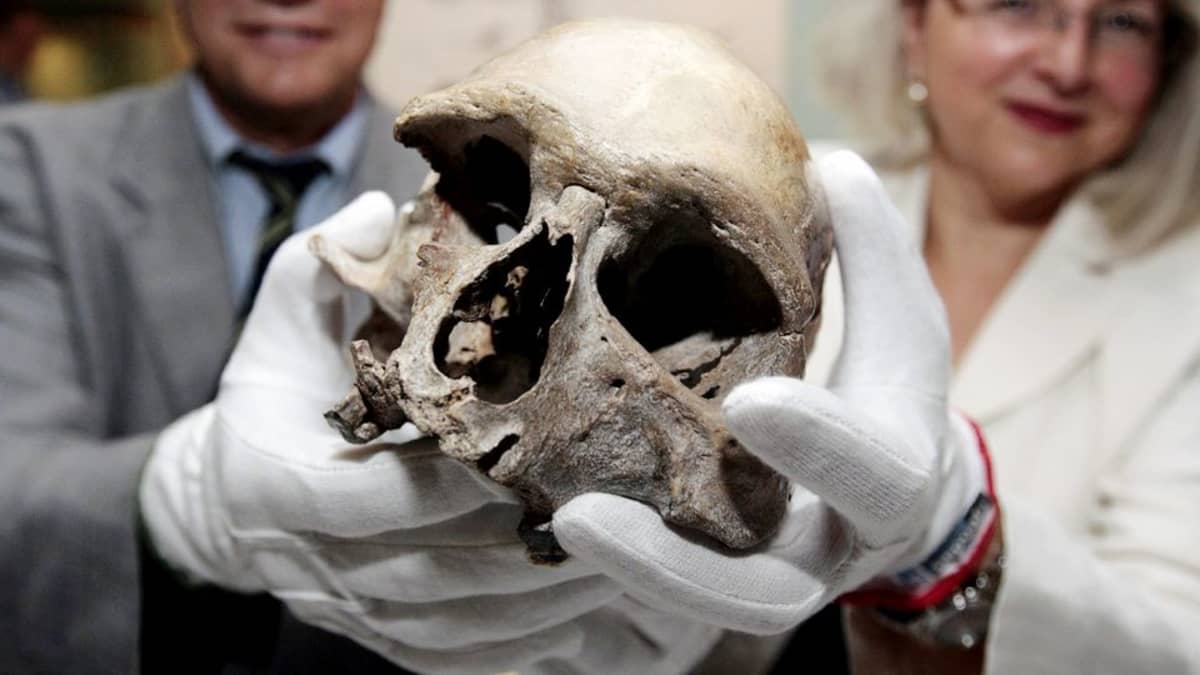 Saksalaiset tutkijat esittelevät kivikaudella eläneen miehen pääkalloa Bonnissa heinäkuussa 2009.
