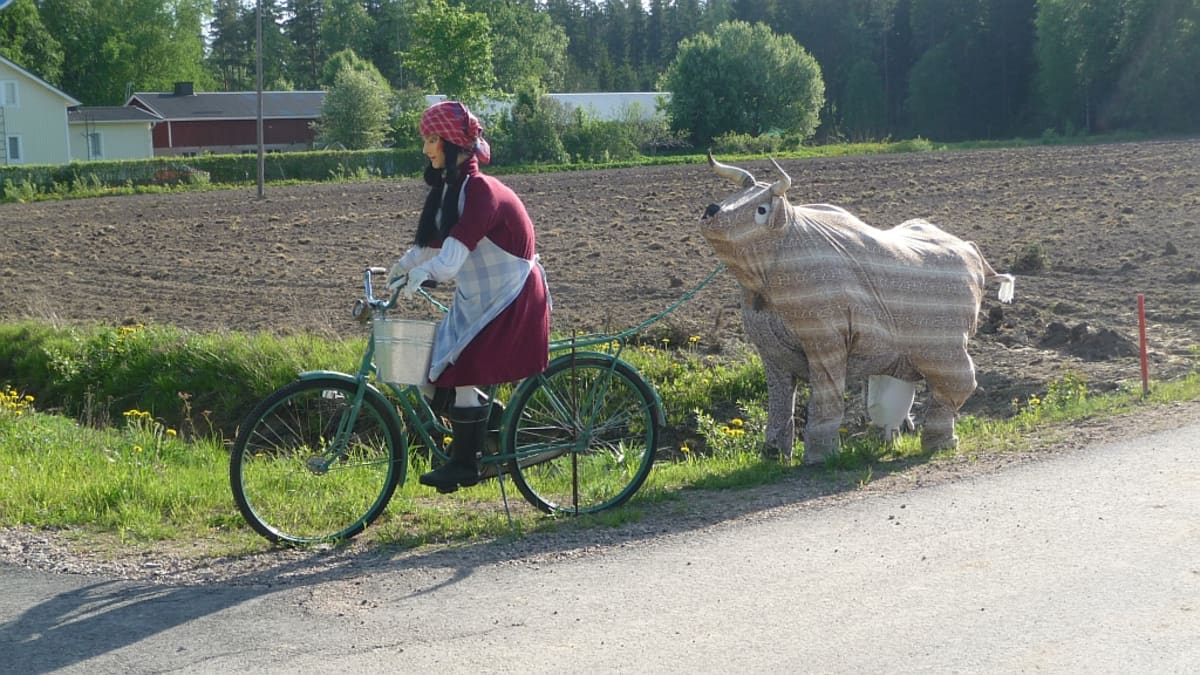 Tilataideteos, jossa pyöräilevä nainen vetää lehmää perässään.