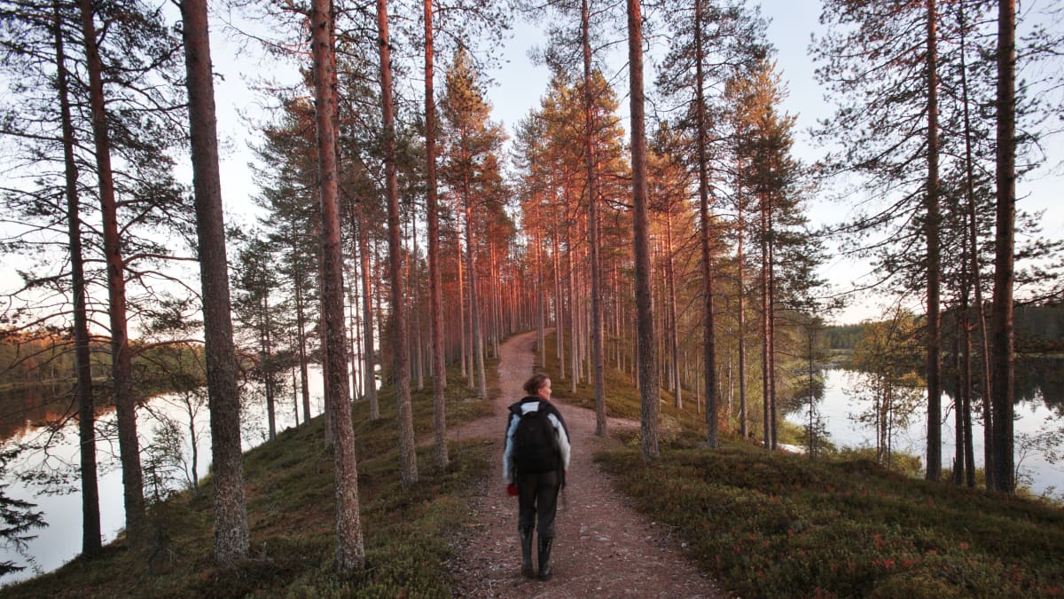 Tiilikkajärven kansallispuistossa Rautavaaralla on hyvät puitteet esimerkiksi retkeilyyn.