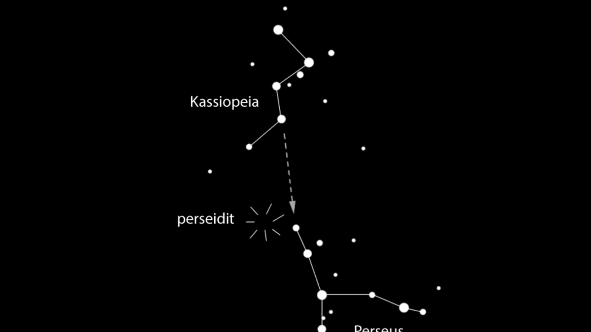 Kartta perseidien säteilypisteen löytämiseksi tähtitaivaalta. Kassiopeia on elokuun puolivälin tienoilla korkealla itäkoillisessa noin puolenyön aikaan.