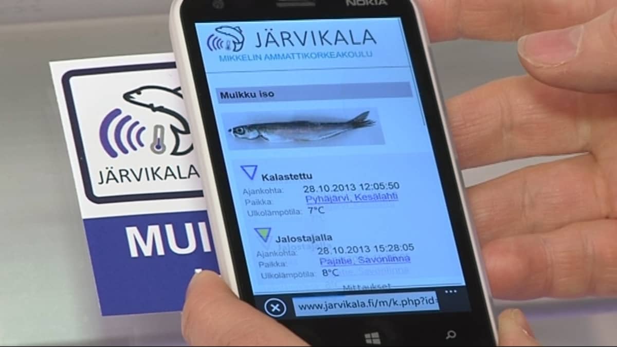 Järvikalasovellus