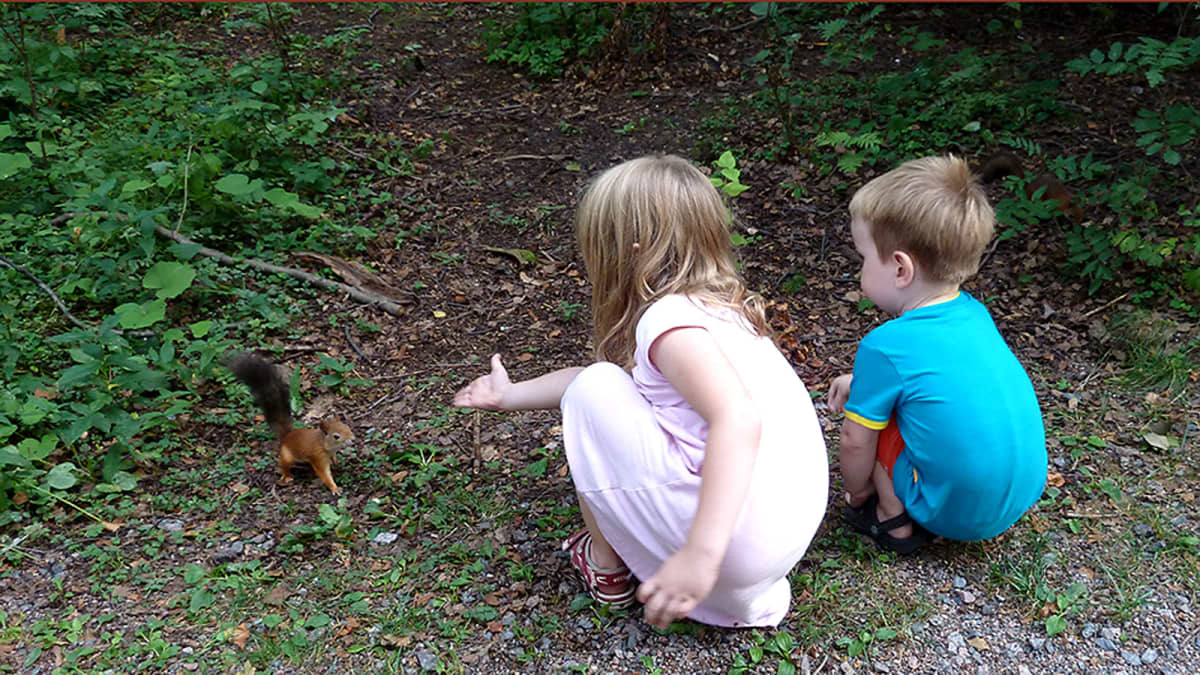 Lapset tervehtivät oravaa
