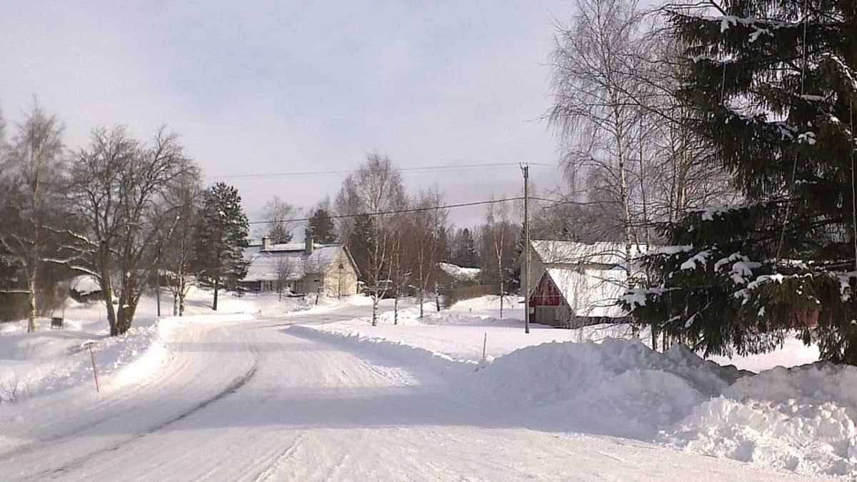 Talvinen maisema Letkun kylän raitilta