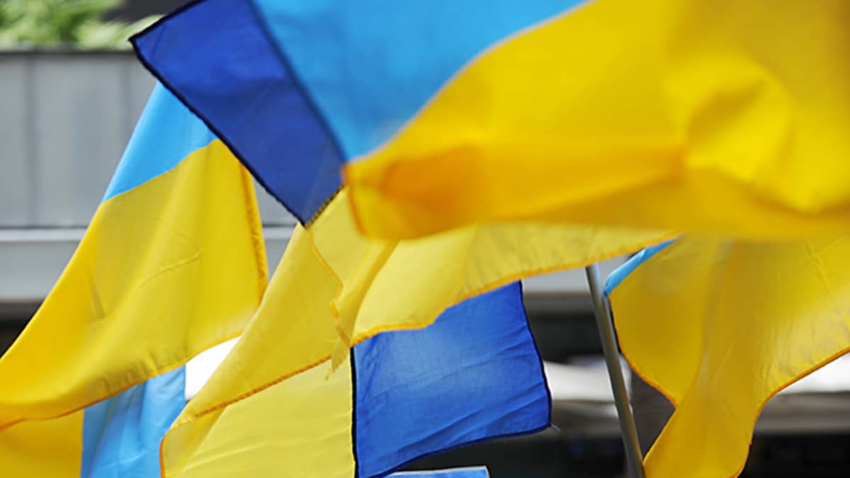 Ukrainan lippuja