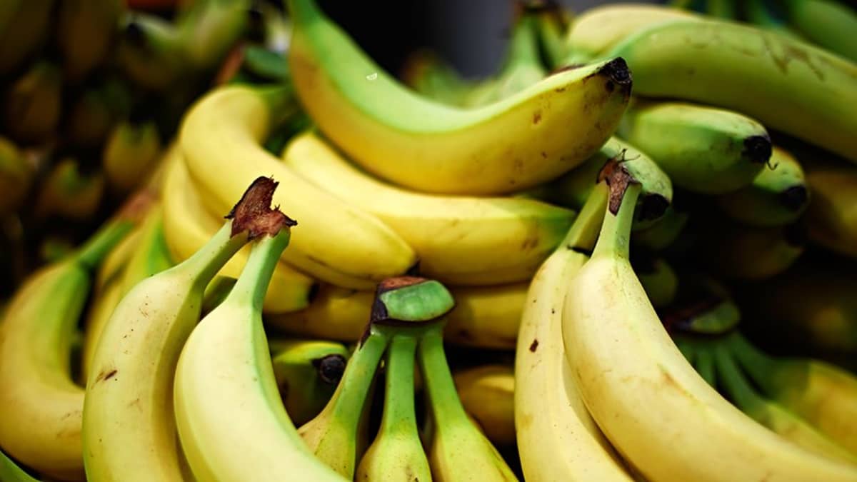 Banaaneja kaupan hedelmätiskillä.