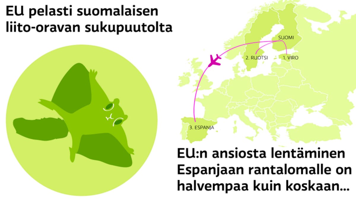Nämä 9 asiaa elämässäsi EU paransi 