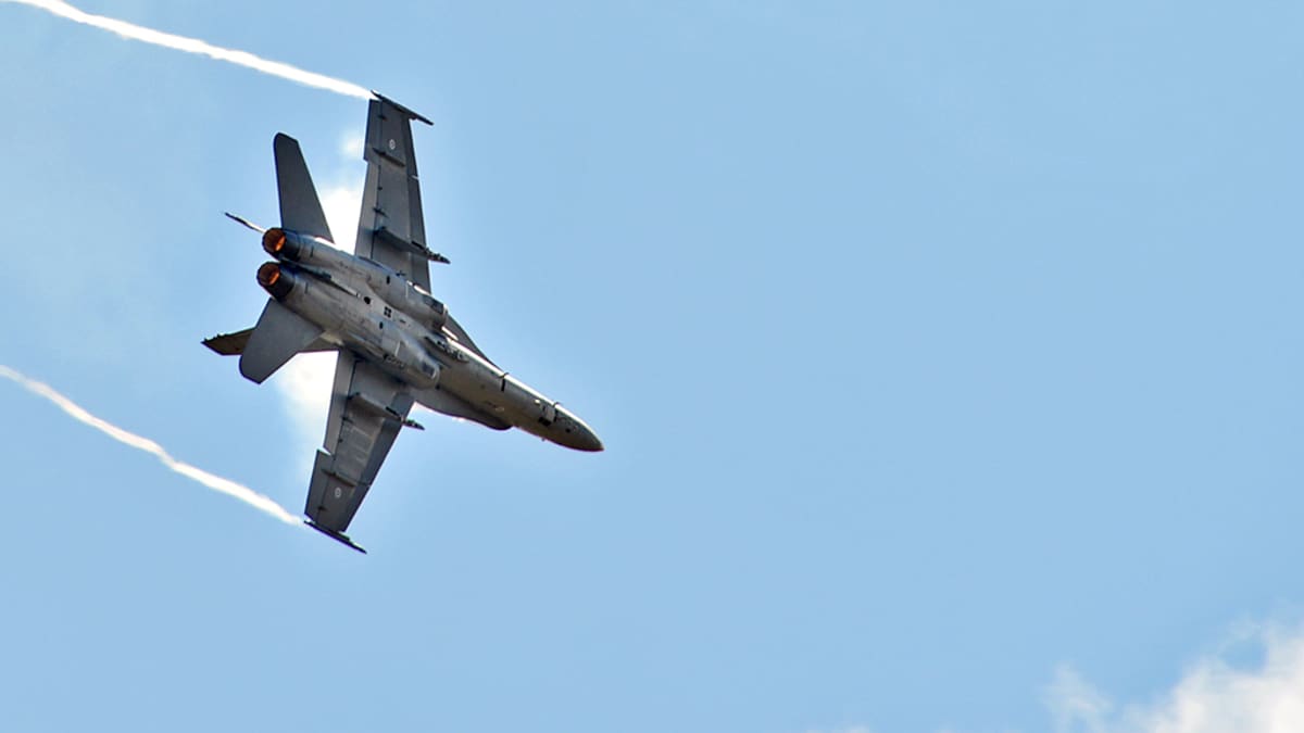Hornet 
