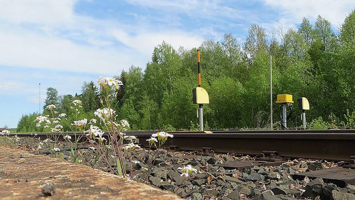 Juhannuksena jopa päivän tai kahden katkoja junaliikenteessä | Yle Uutiset