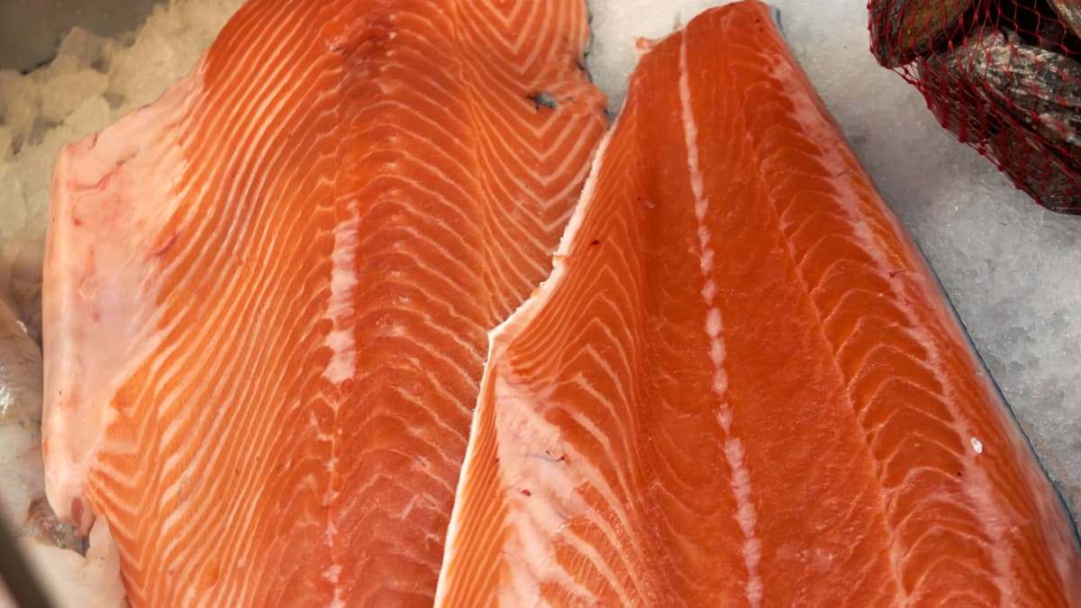 Fresh salmon on sale.