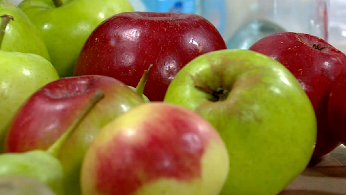 Miksi allergikko voi syödä omenasosetta, mutta tuore omena aiheuttaa  oireita? – Selitys löytyy proteiinista