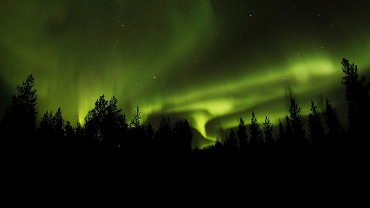 Revontulipalvelu kertoo milloin taivaan tulet näkyvät Rovaniemellä | Yle  Uutiset