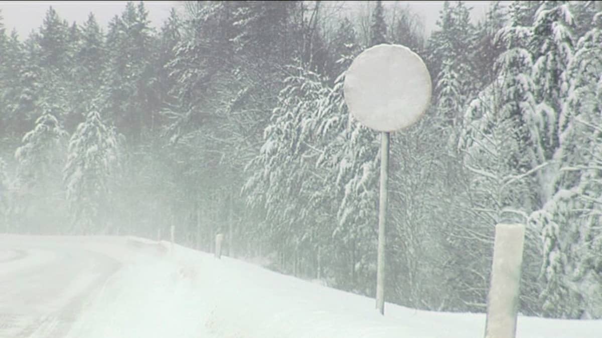 Lumiset liikennemerkit lisäävät liikenteen riskejä | Yle Uutiset