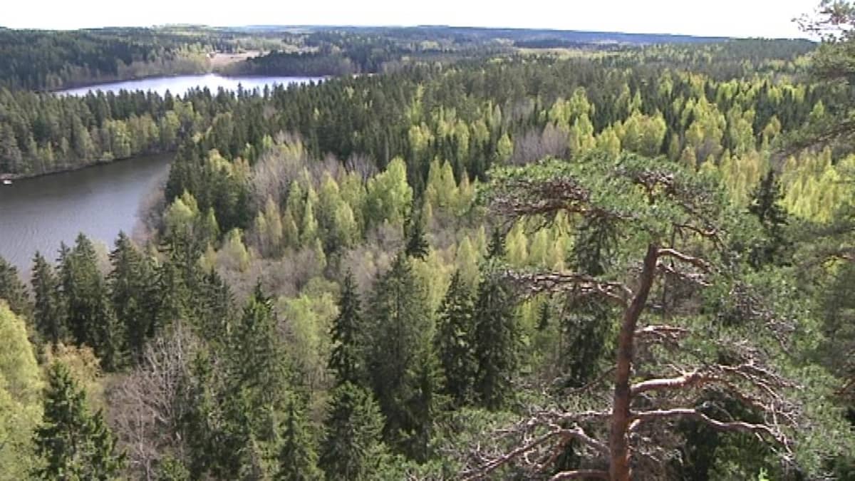 Maisema Aulangon näkötornin tasanteelta.