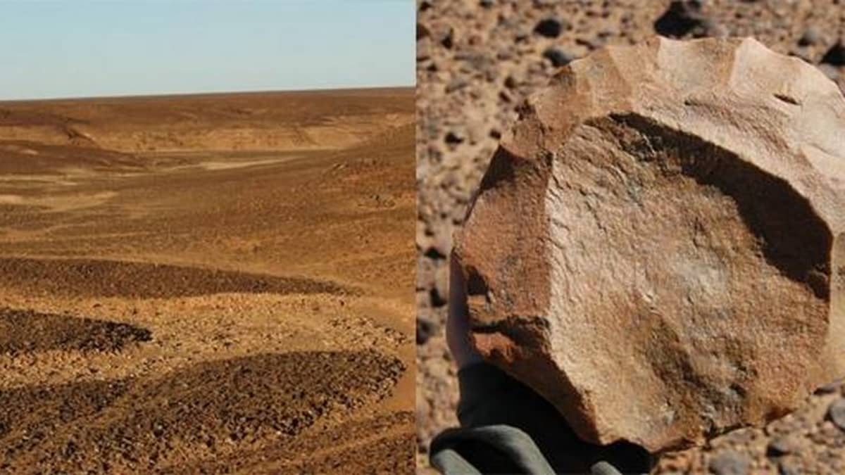 Saharan hiekkamaisemaa ja sieltä löydetty kivityökalu