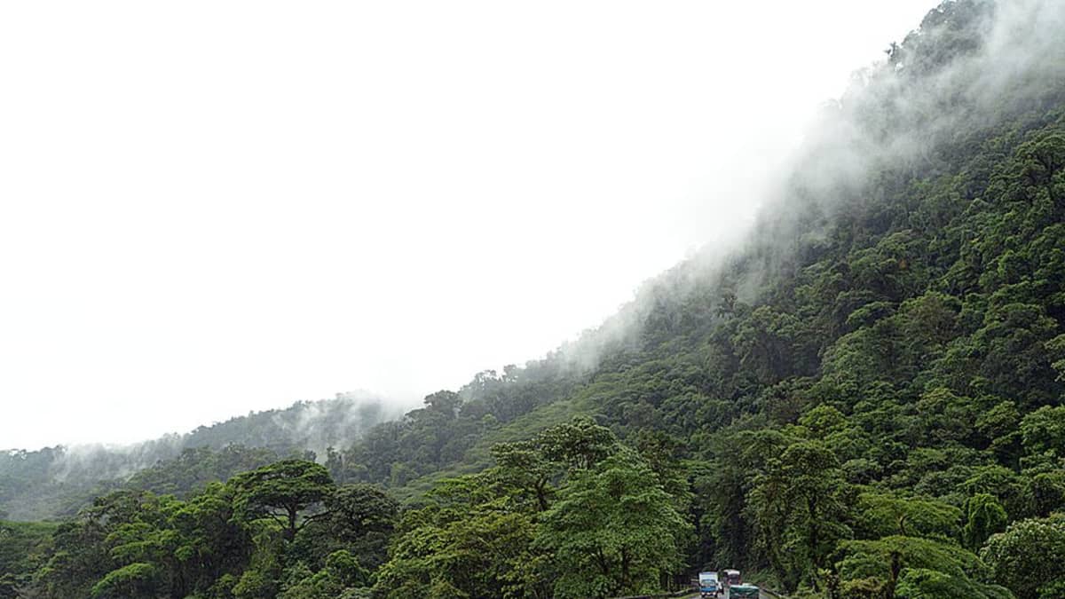Costa Rican sademetsää.