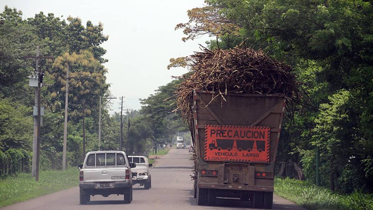 Rekka kuljettaa sokeriruokoa Guatemalassa.