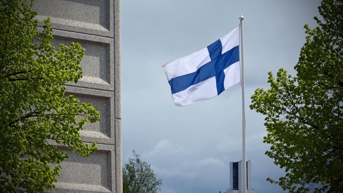 Likaista lippua ei sovi nostaa salkoon – Riittävätkö omat taitosi pesuun? |  Yle Uutiset