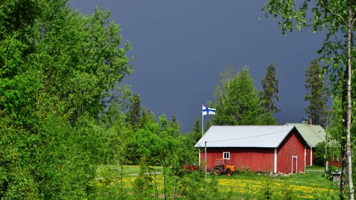 maalaismaisemassa punainen mökki ja lipputangossa liehuva Suomen lippu