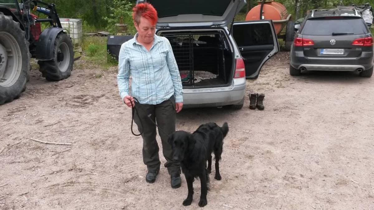 Leena Kähönen toi Blackie-koiransa jäljestämiskokeeseen Korialle