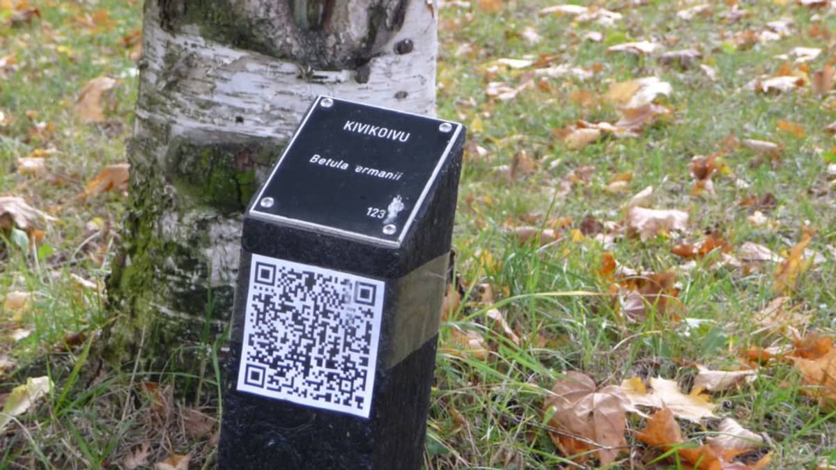 Lappeenrannan arboretumin puista saa lisätietoa mobiilisti.