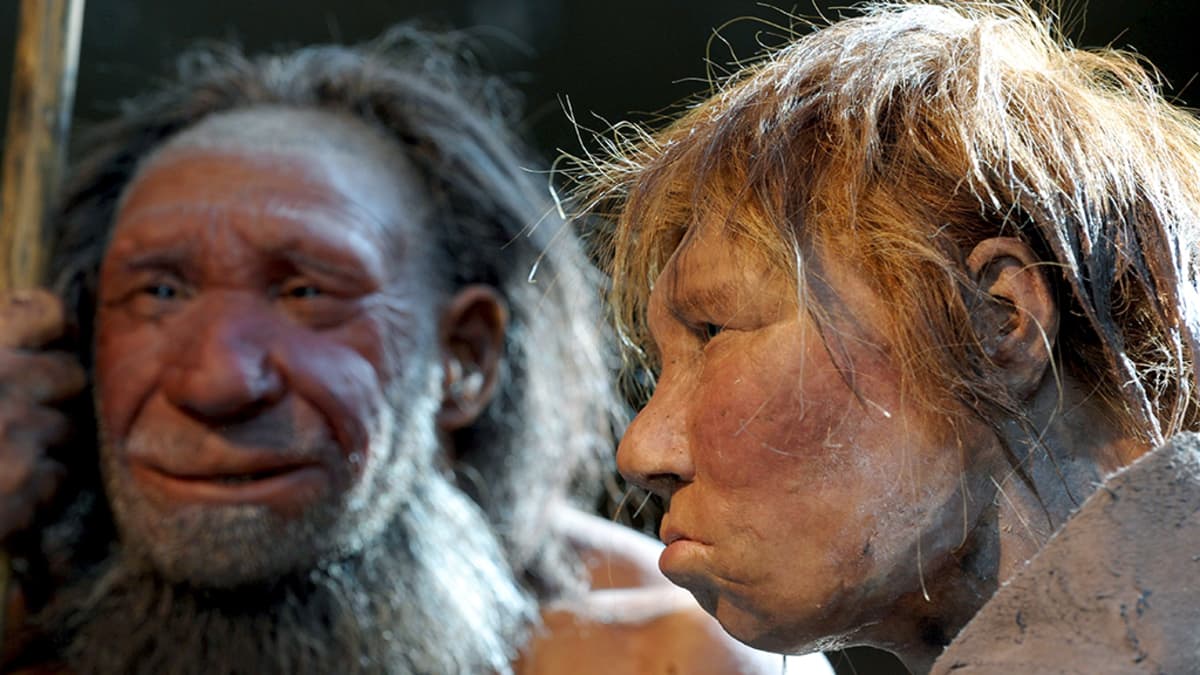 Neandertalin mies ja nainen rekonstruoituina Metmannin museossa.