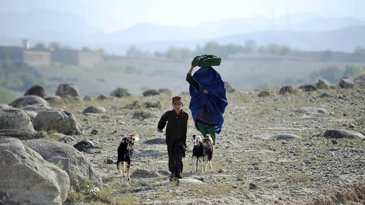 Paikallisten asukkaiden sanotaan pakenevan taisteluoperaatioiden alta Nangarharin maakunnassa Afganissa.