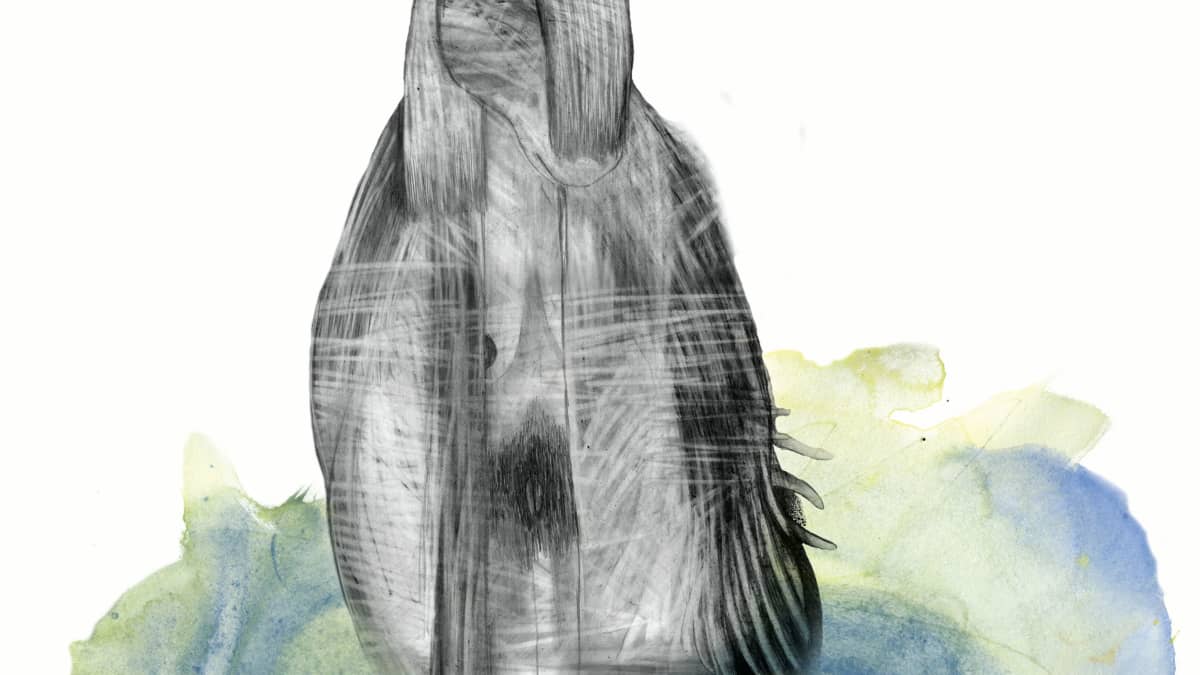Taiteilja Sari Hiltusen kuvituskuva Kainuun maagisista aarretarinoista kertovasta teoksesta. 