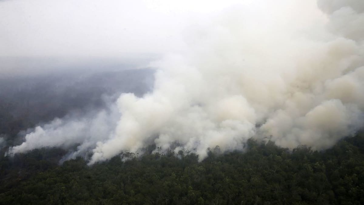 Indonesian kasvihuonepäästöistä suuri osa on peräisin maastopaloista tavallisinakin vuosina. Metsä paloi Sumatran eteläosissa syyskuun puolivälissä.