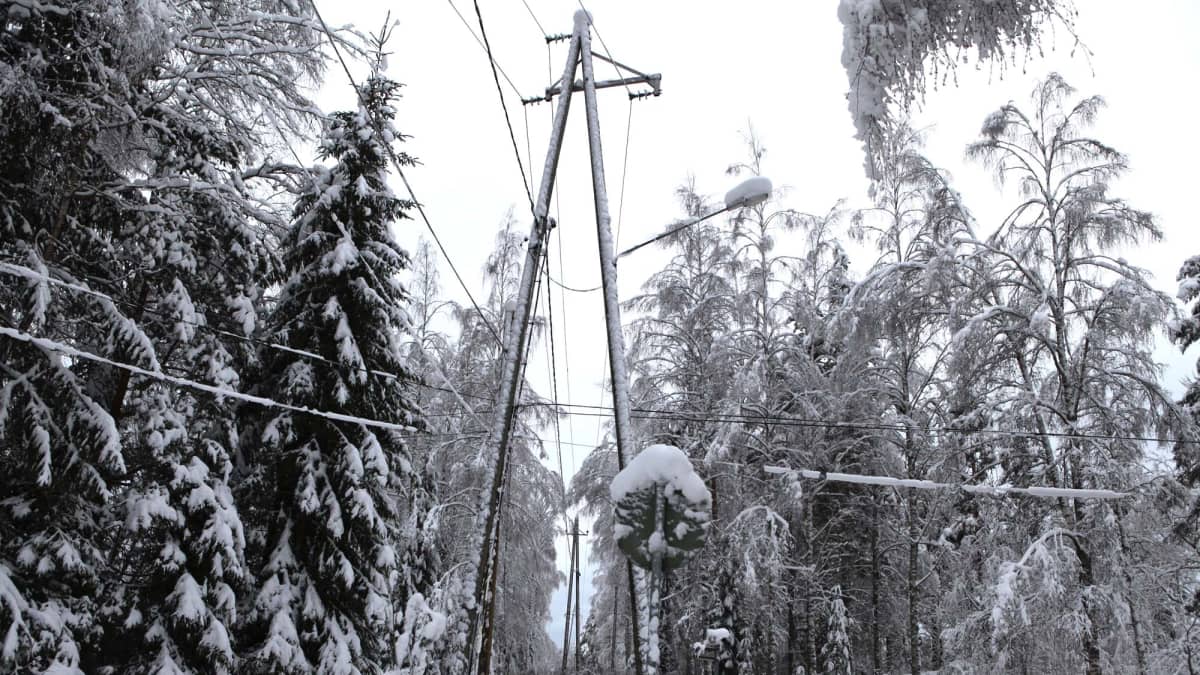Lumi painaa puita sähkölinjoille.