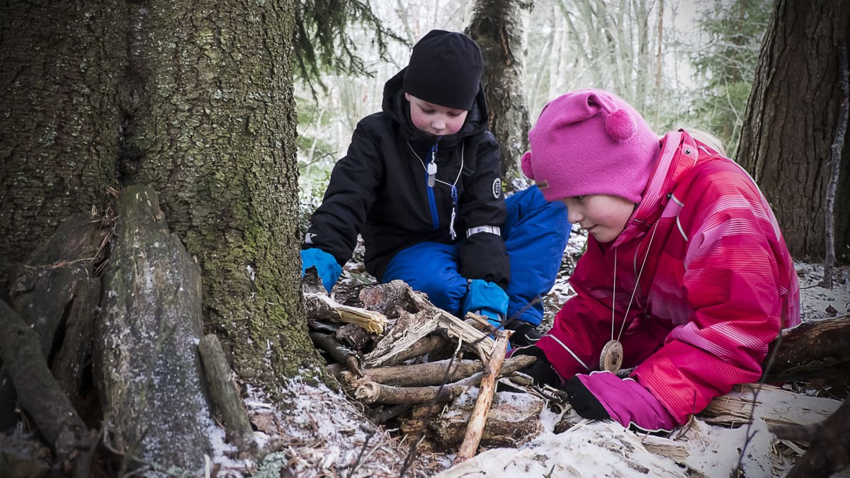 Lapset tarkastavat metsään rakentamaansa eläintenruokintapaikkaa.