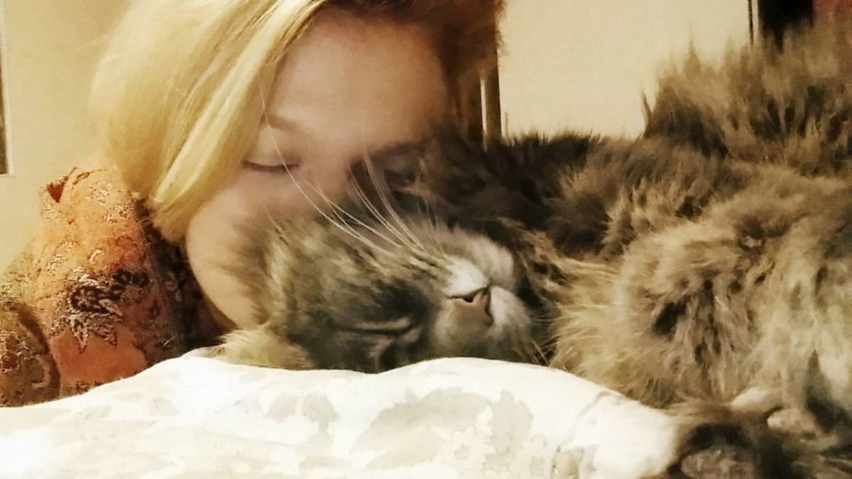Halloween-kissa kadoksissa kuusi vuotta – löytyi jouluna Facebookista naama  osittain halvaantuneena | Yle Uutiset