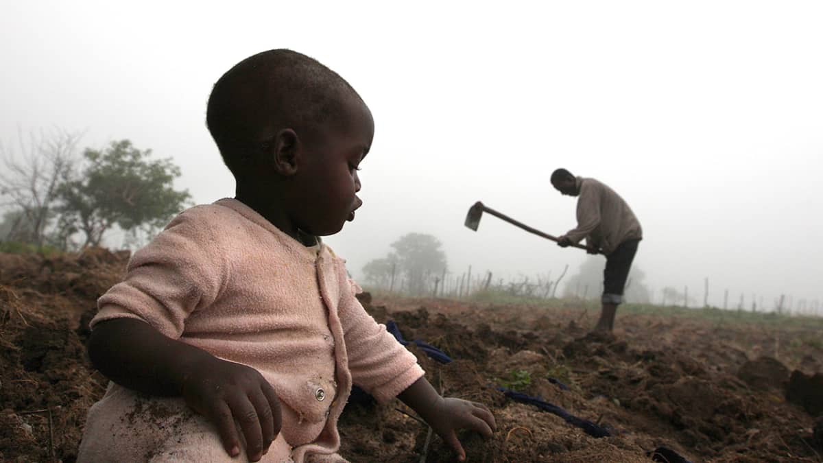 13-kuukautinen lapsi leikkii maassa ja taustalla hänen isänsä kuokkii maata.