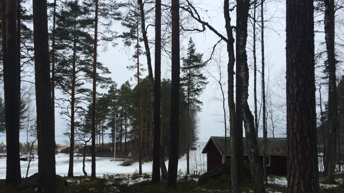 Poliisi kehottaa: Tarkasta kesämökkisi talvellakin ja jätä verhot auki |  Yle Uutiset