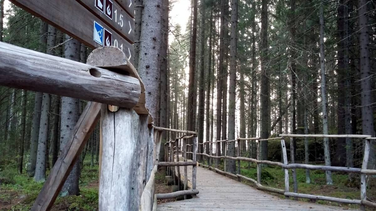 Retkeilypolulle rakennettu ramppi