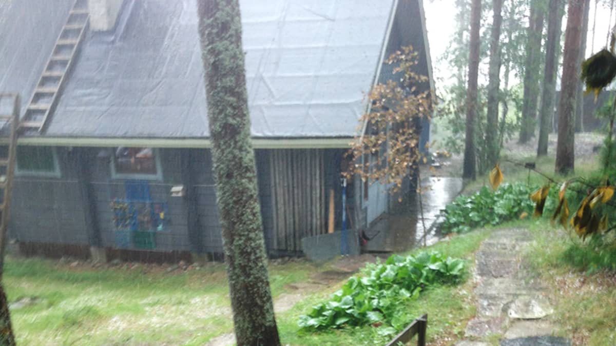Suuri jäärae kämmenellä.