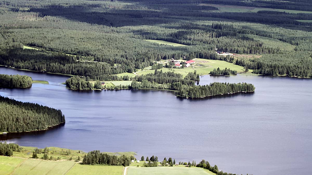 Maatila ja mökkejä Nuasjärven rannalla Sotkamossa ilmakuvassa.