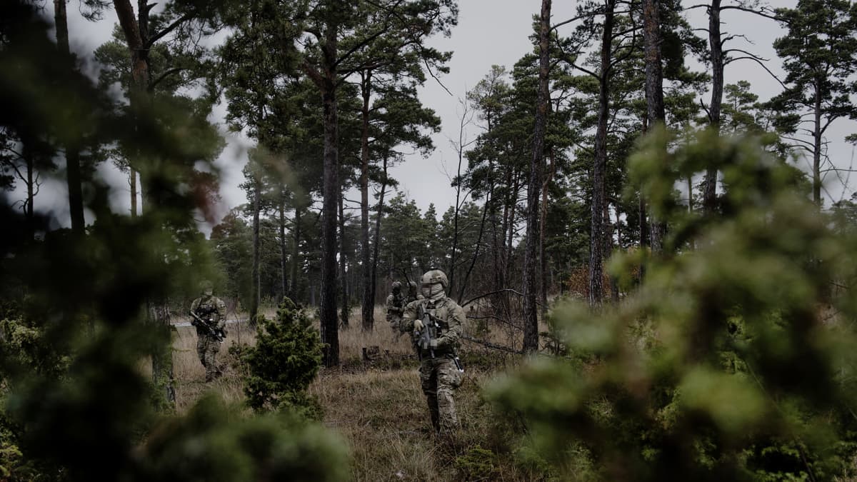 Lue tästä asiantuntijoiden analyysit ja arviot – Mitä jos Ruotsi livahtaa  Natoon? | Yle Uutiset