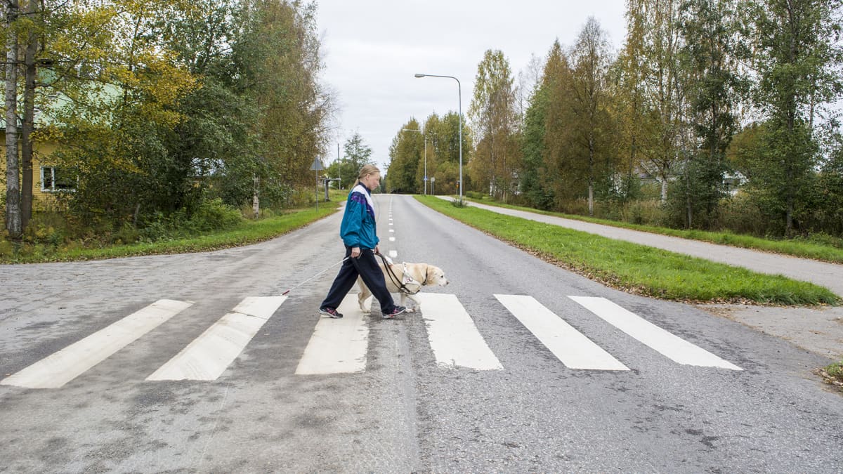 opaskoira Ämy