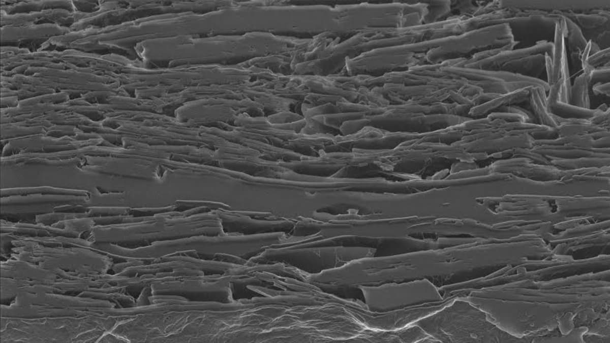 Kuvassa näkyy poikkileikkaus nanoselluloosasta valmistetusta paperista. Paperin alkuperäinen pinta näkyy kuvan alapuoliskossa ja poikkileikkauspinta kuvan yläpuoliskossa. Kuva on otettu heliumionimikroskoopille 45 asteen kulmassa pintaan ja poikkileikkaukseen nähden. Kuva-ala on 20x20 mikrometriä eli alle puolet hiuksen paksuudesta.

Paperi on valmistettu VTT:llä Jyväskylässä ja poikkileikkaus on tehty Top Analytica Oy:ssä Turussa.

Kuvassa näkyvät "möhkäleet" ovat kaoliinikiteitä, joka on paperiin lisättävä mineraali. Näytteen pinnalla erottuvat suonimaiset kuidut ovat nanoselluloosaa. Tavallisessa paperissa kuidut ovat kymmenien mikrojen paksuisia eli suurempia kuin kuvan koko. Erityisesti pinnan ja poikkileikkauksen raja on mielenkiintoinen kun siinä pääsee "kurkistamaan" pinnan alle.