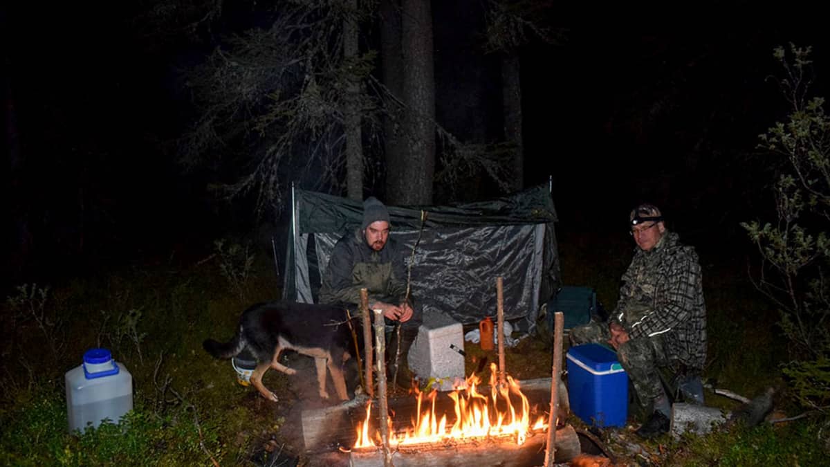 Kaksi miestä ja koira iltanuotiolla