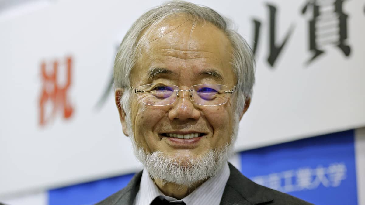 Yoshinori Ohsumi.